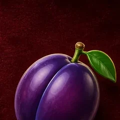Prugna